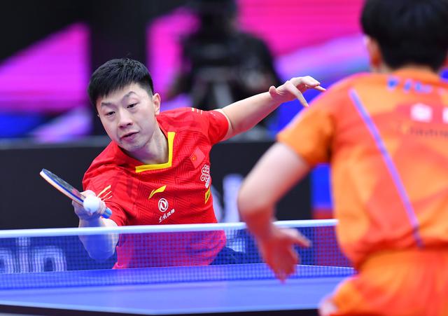 质的强化 质的强化