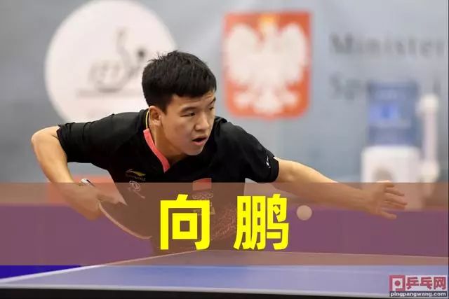 不仅促进了 不仅促进了